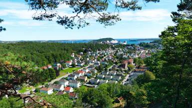Summer Fjords Highlights