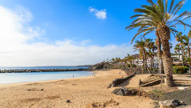 Canary Islands Sunshine