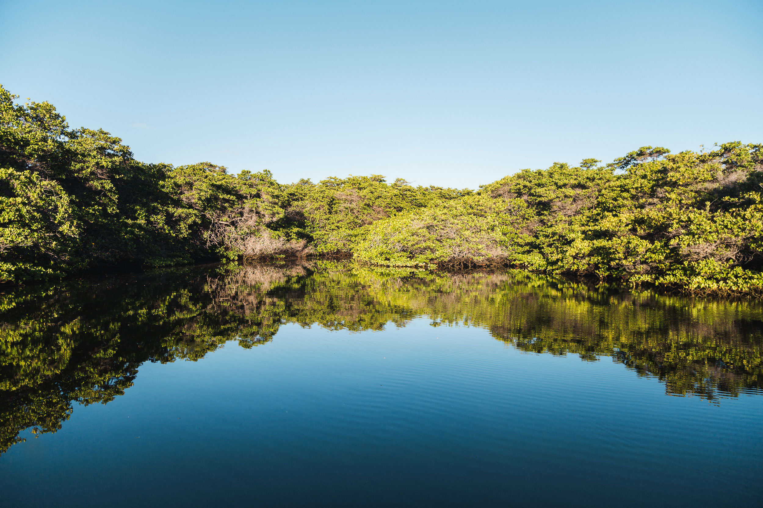 Isla Baltra, Galapagos