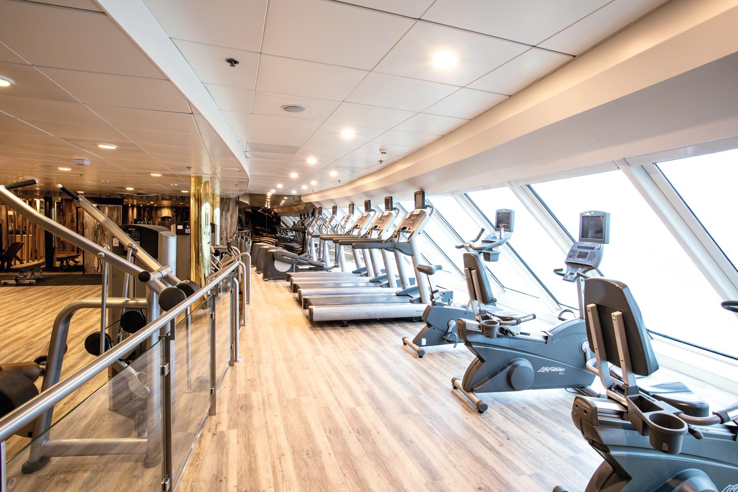 The Gym