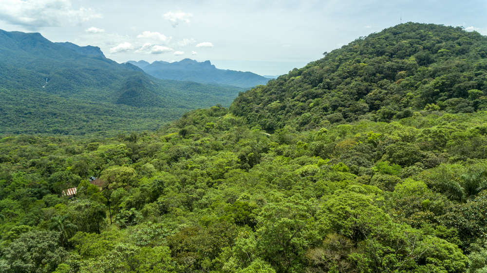 Paranaguá, Brazil