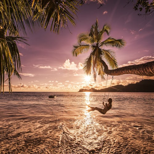 A woman on a swing on a Caribbean beach