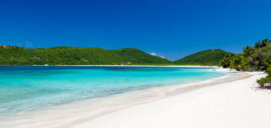 5. City Lights and Caribbean Delights