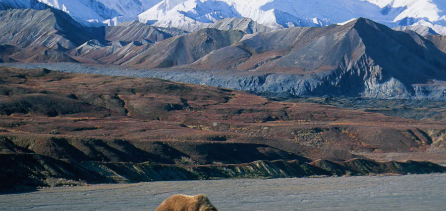 6. Alaskan Glaciers & Fjords With Seattle & Canada