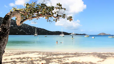Caribbean Winter Sun