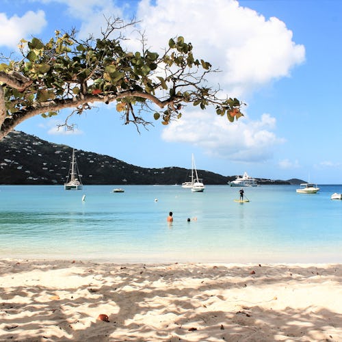 Discover a variety of distinct islands