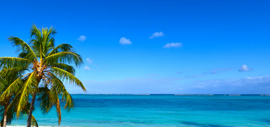 4. FLASH SALE! Miami Nights & Tropical Delights With Turks & Caicos