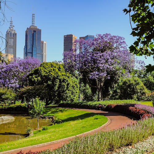 The Royal Botanical Gardens