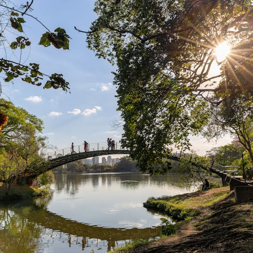 Ibirapuera Park