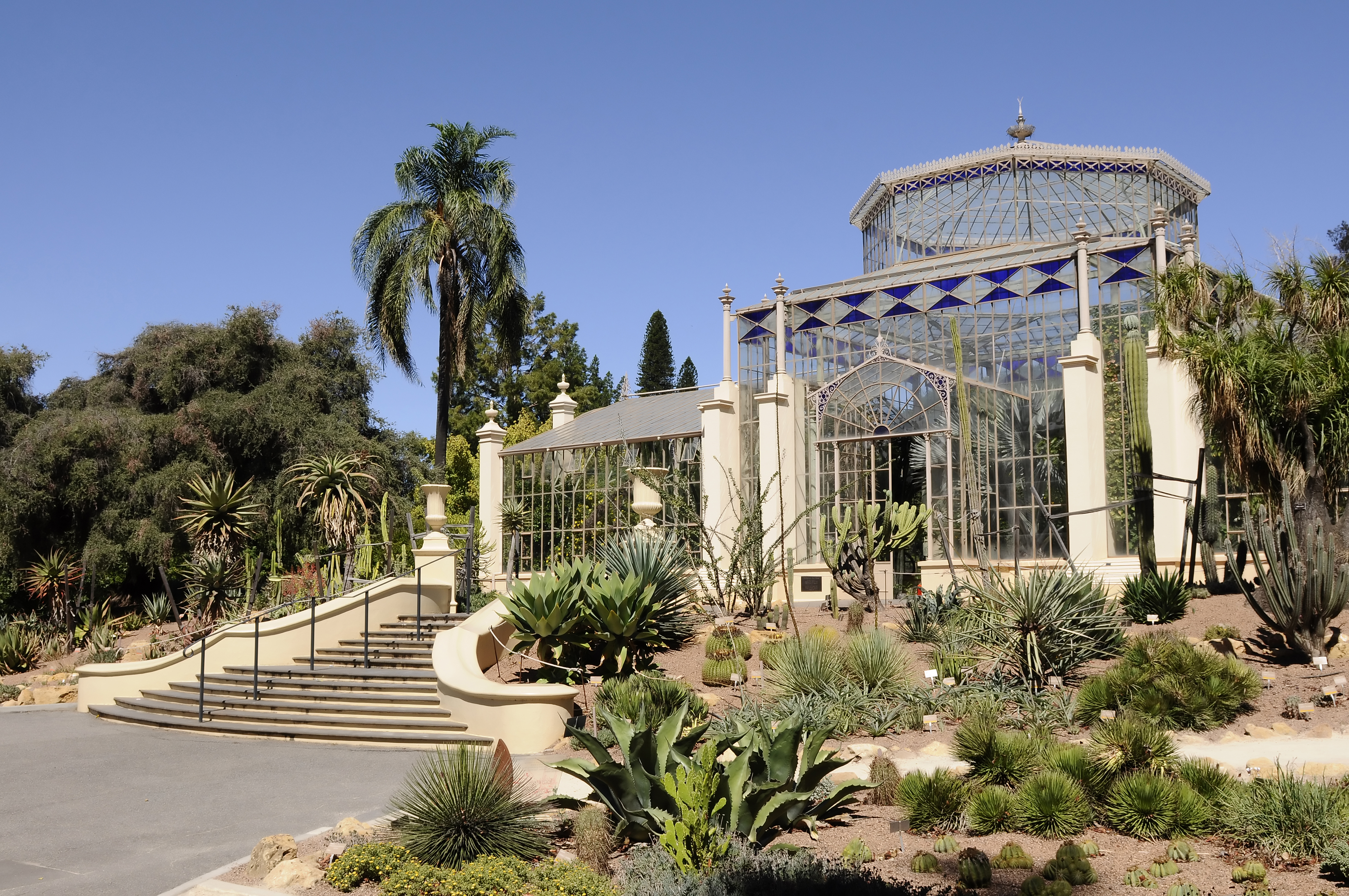 Adelaide Botanical Garden