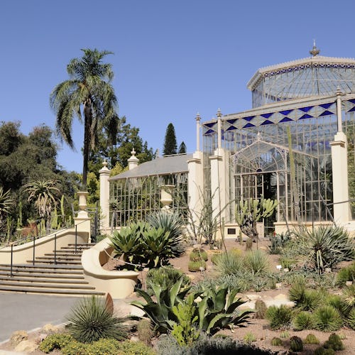 Adelaide Botanical Garden