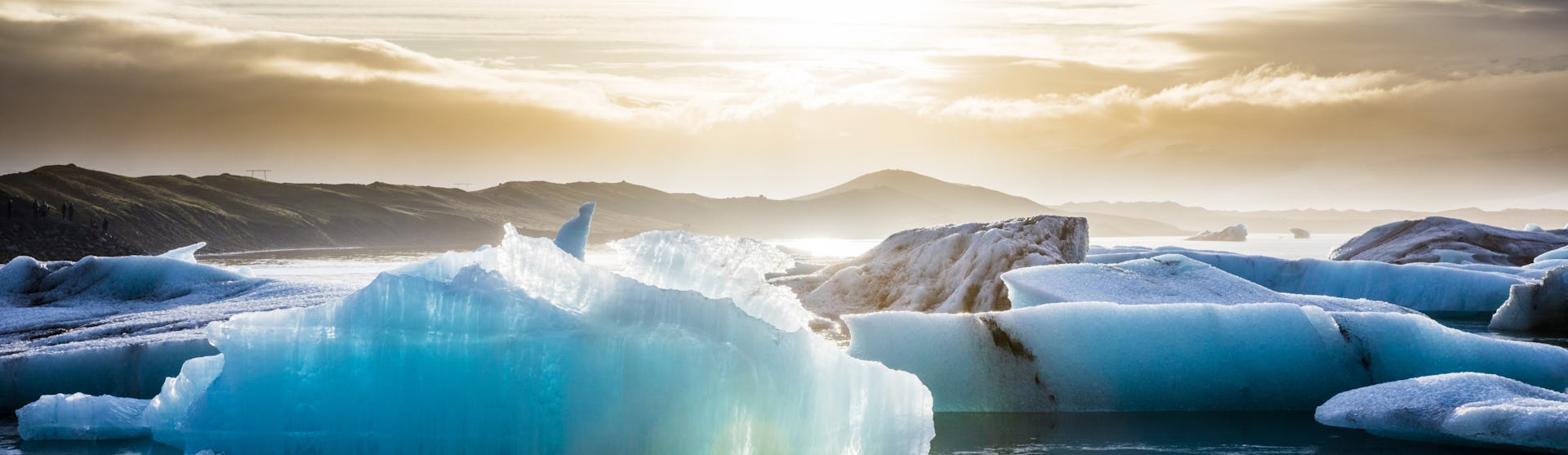 Arctic-Polar
