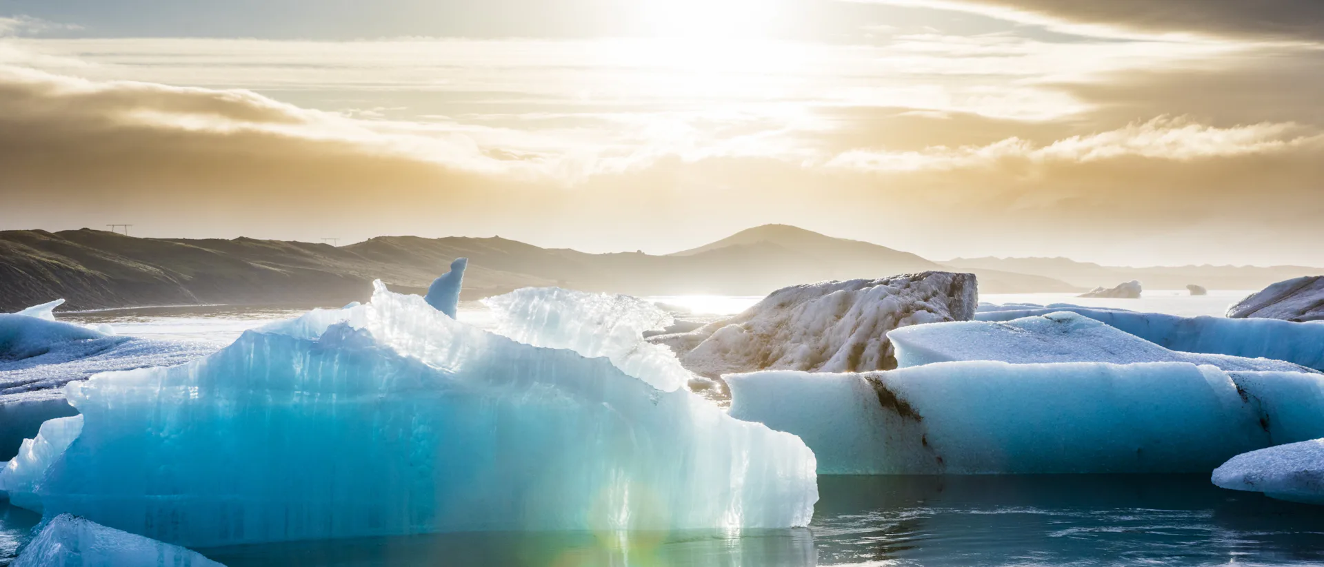 Arctic-Polar