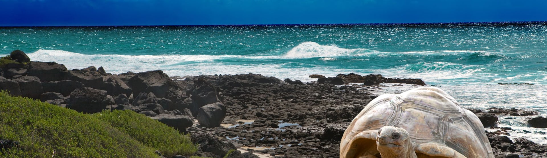 Mauritius-Indian Ocean-East Africa