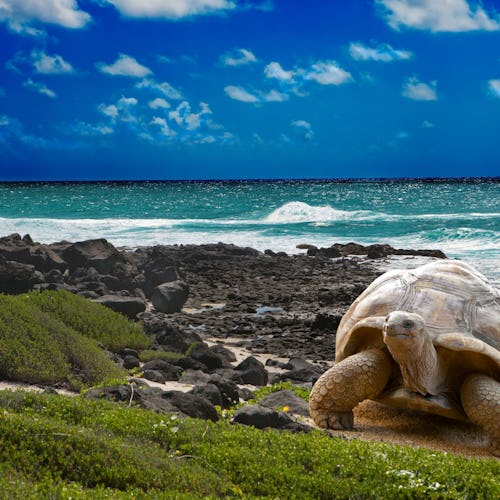 Mauritius-Indian-Ocean