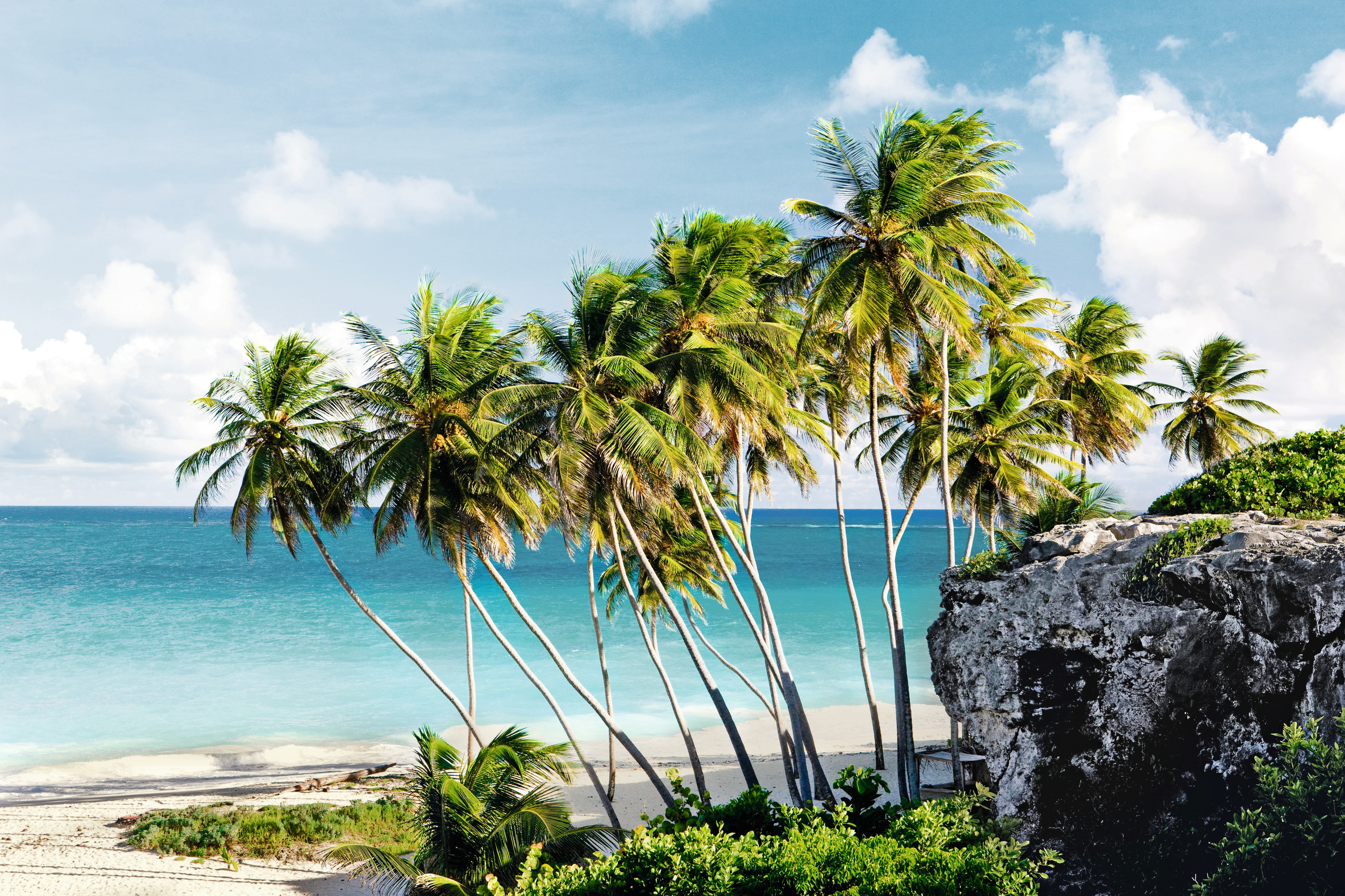 6. Ultimate Rum & Reggae Caribbean Island Hopping!