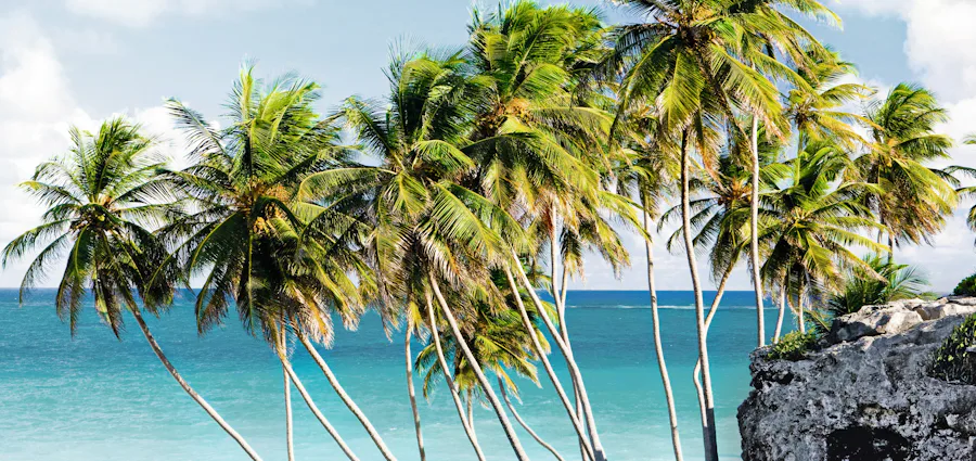 6. Ultimate Rum & Reggae Caribbean Island Hopping!