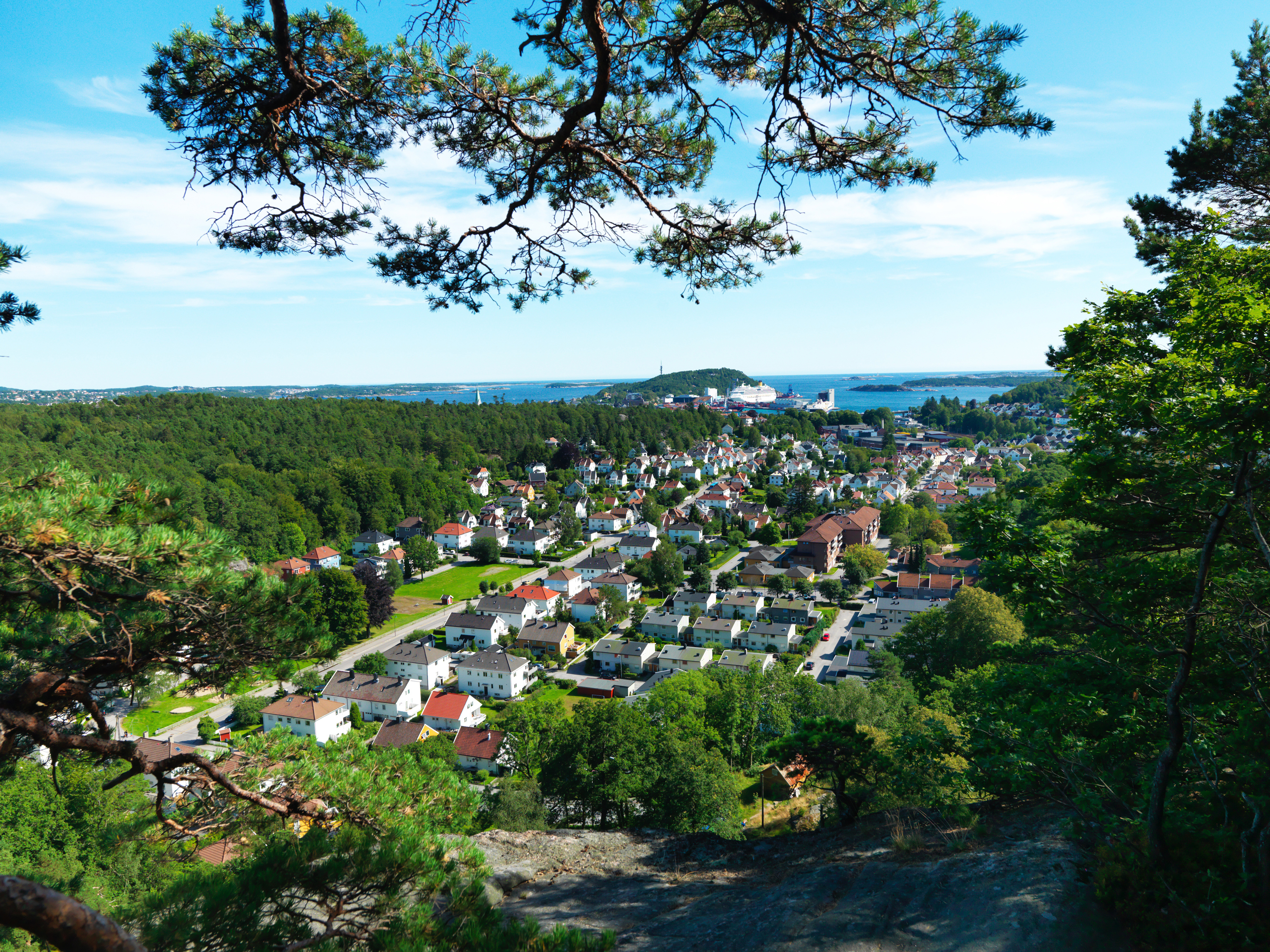 Summer Fjords Highlights