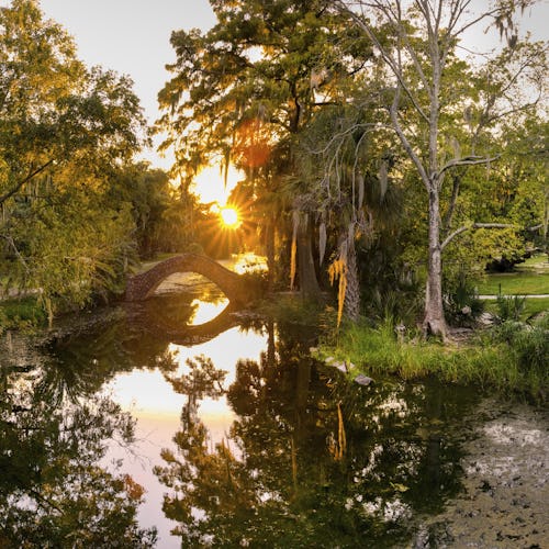 New Orleans City Park