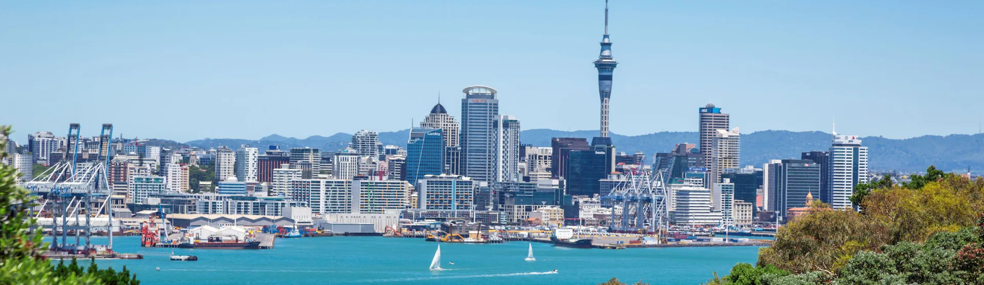 Auckland Cruises