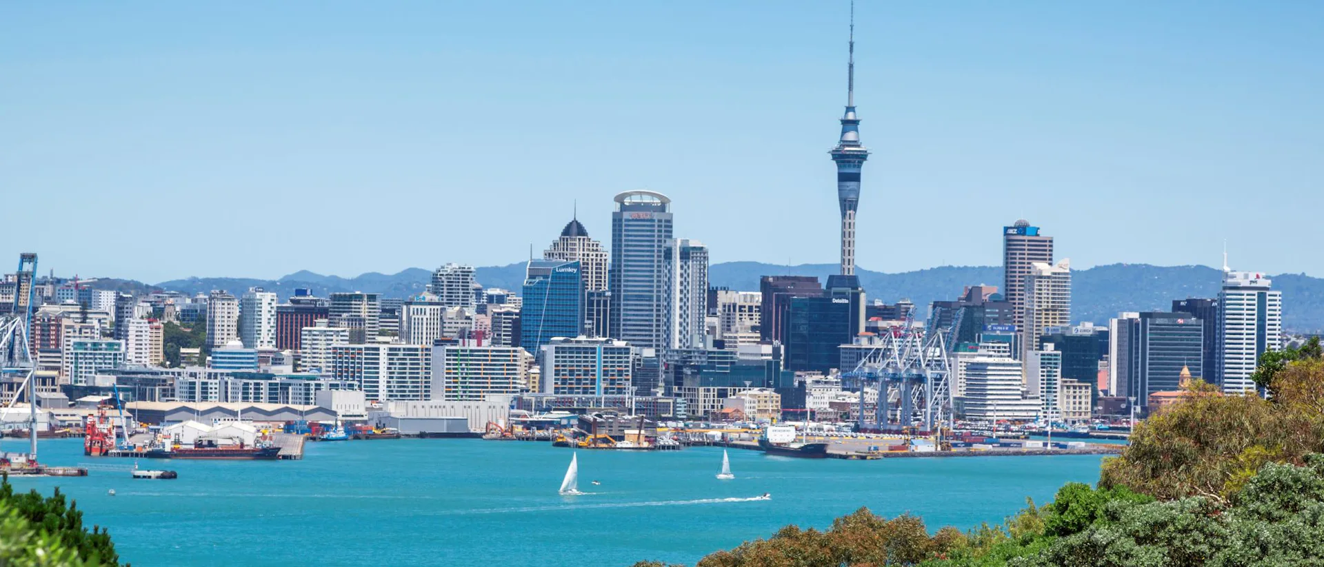 Auckland Cruises
