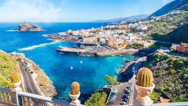 Canary Islands Delights