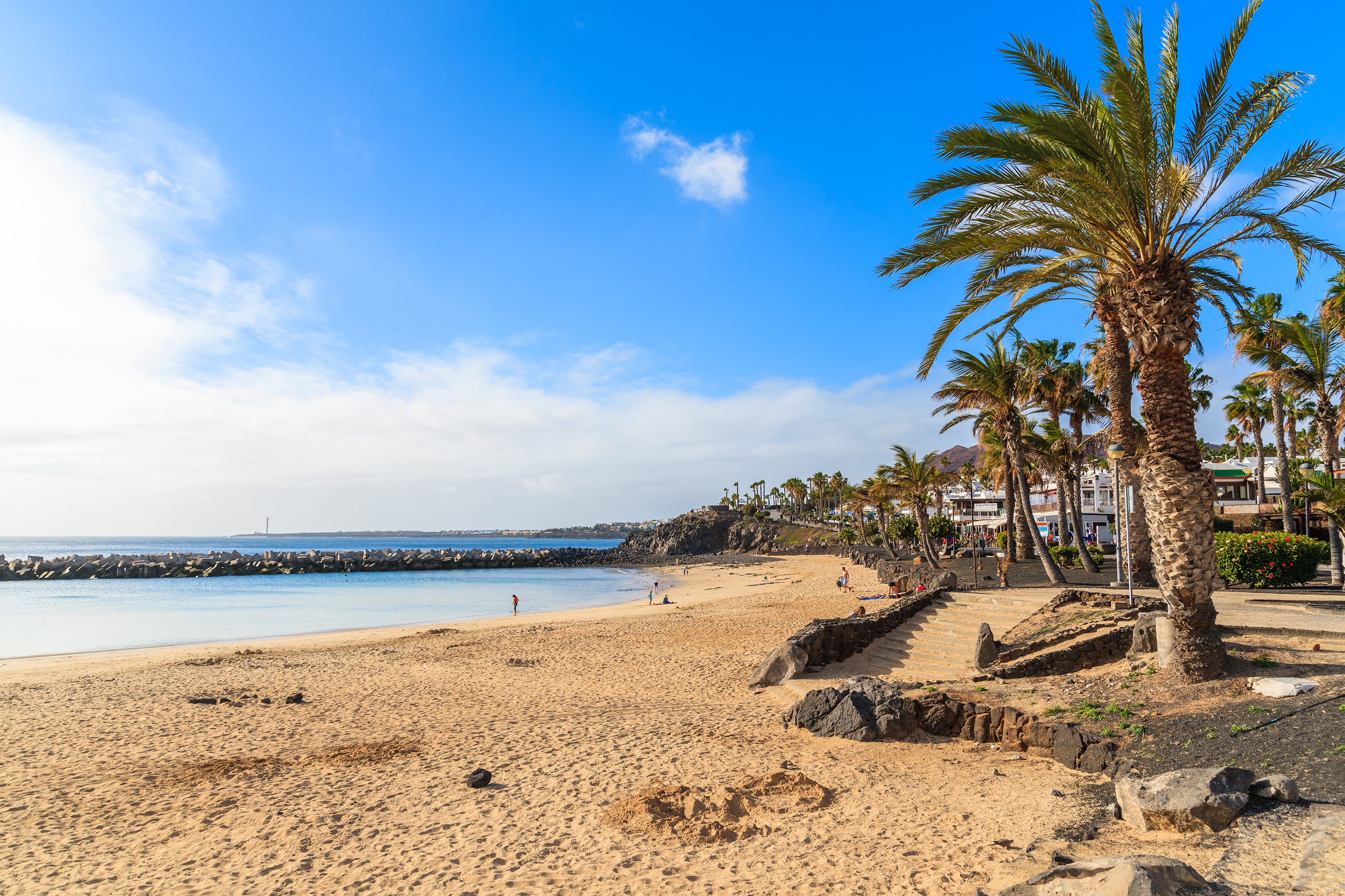 Canary Islands Sunshine