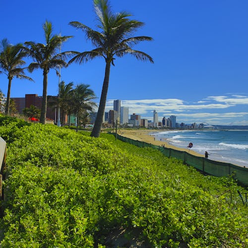 Durban-South-Africa-Africa