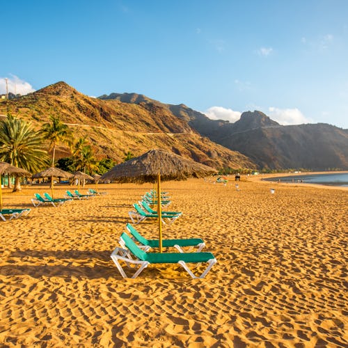 2026 Summer Holidays