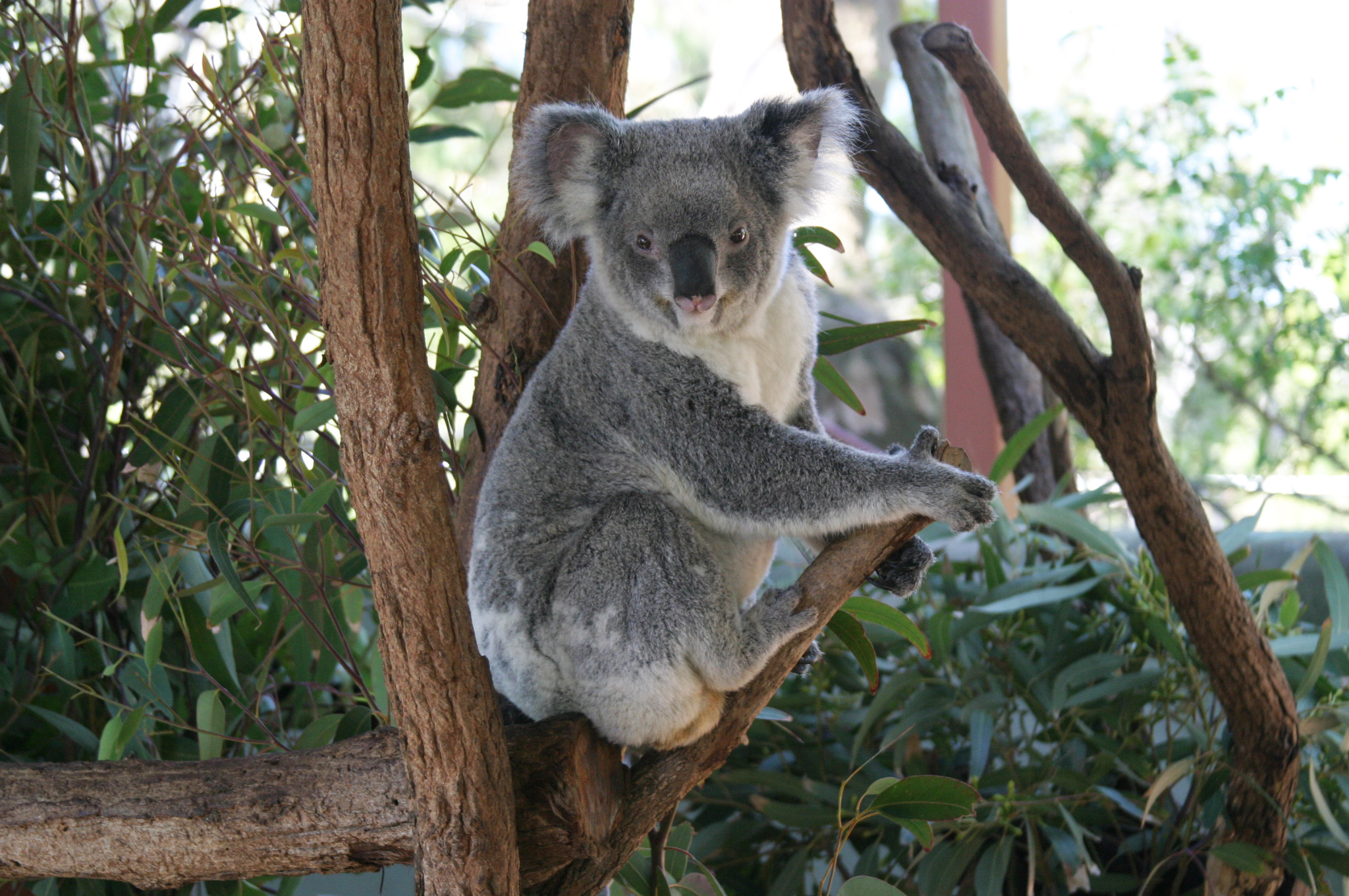 Taronga Zoo