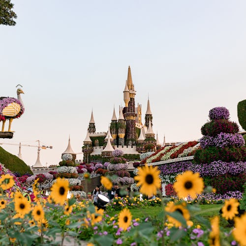 Dubai Miracle Garden