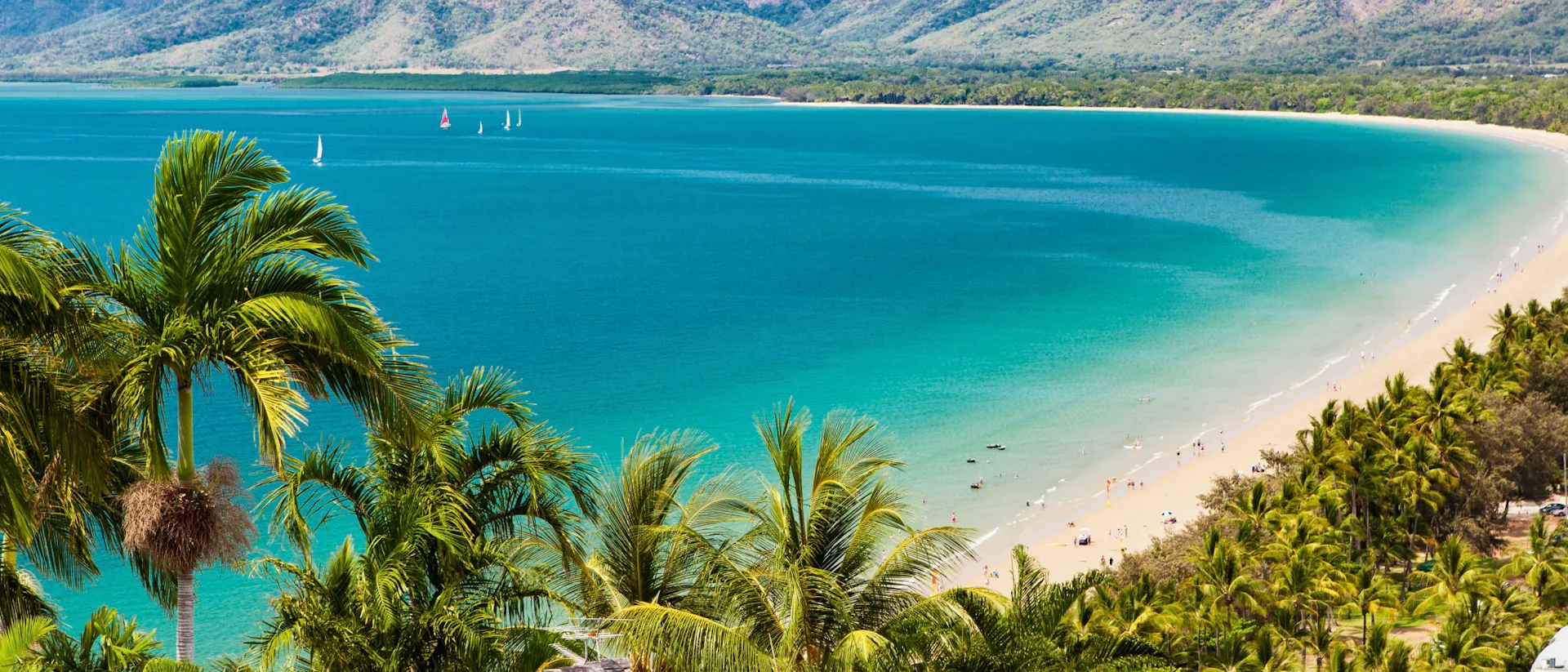 Port Douglas Cruises
