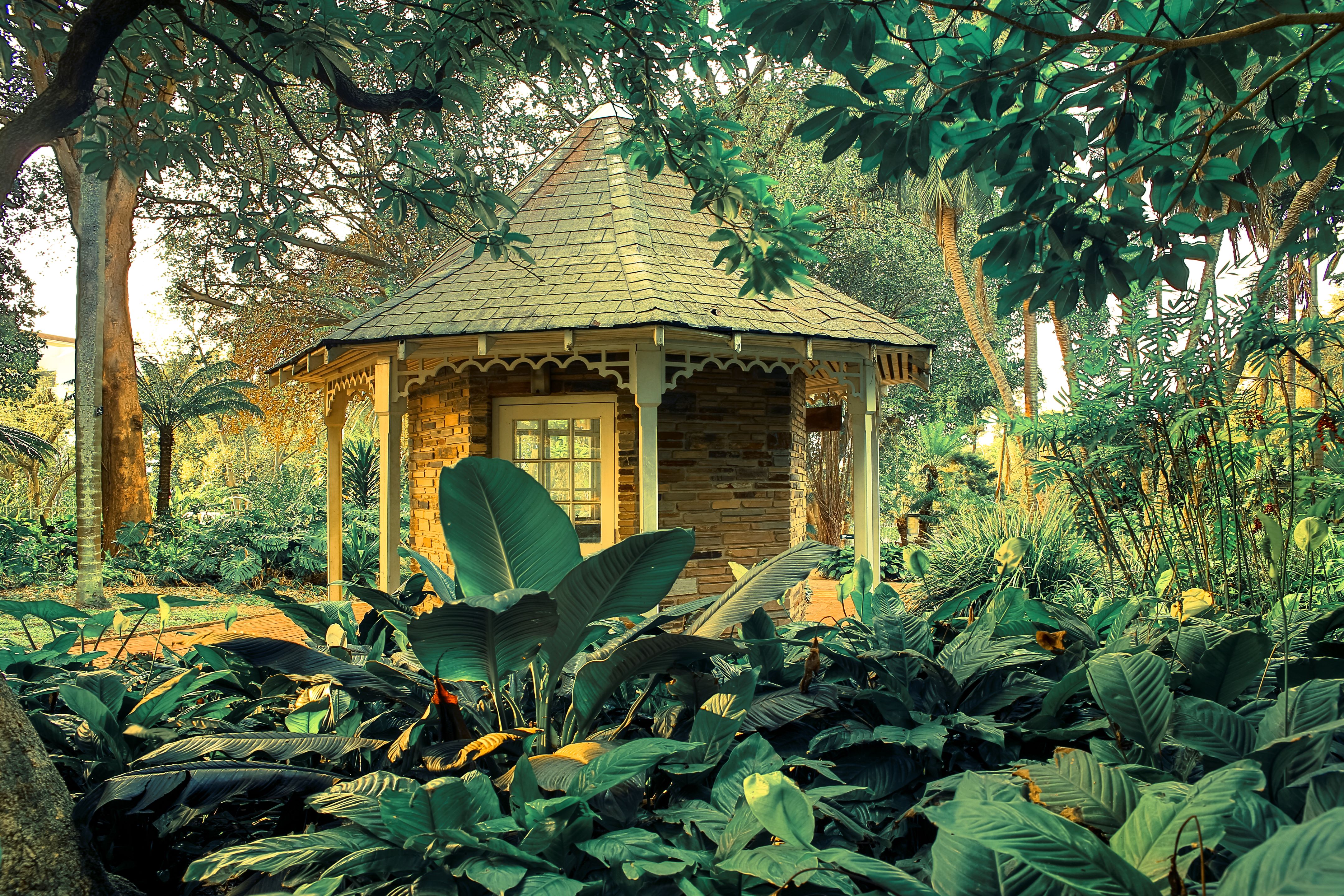 Durban Botanical Gardens