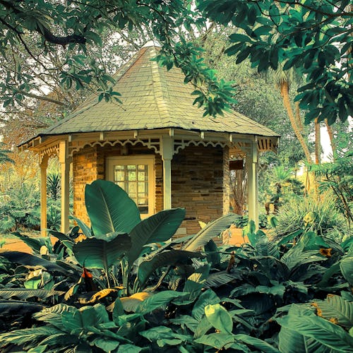 Durban Botanical Gardens