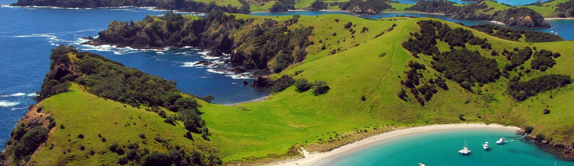 Bay of Islands Cruises