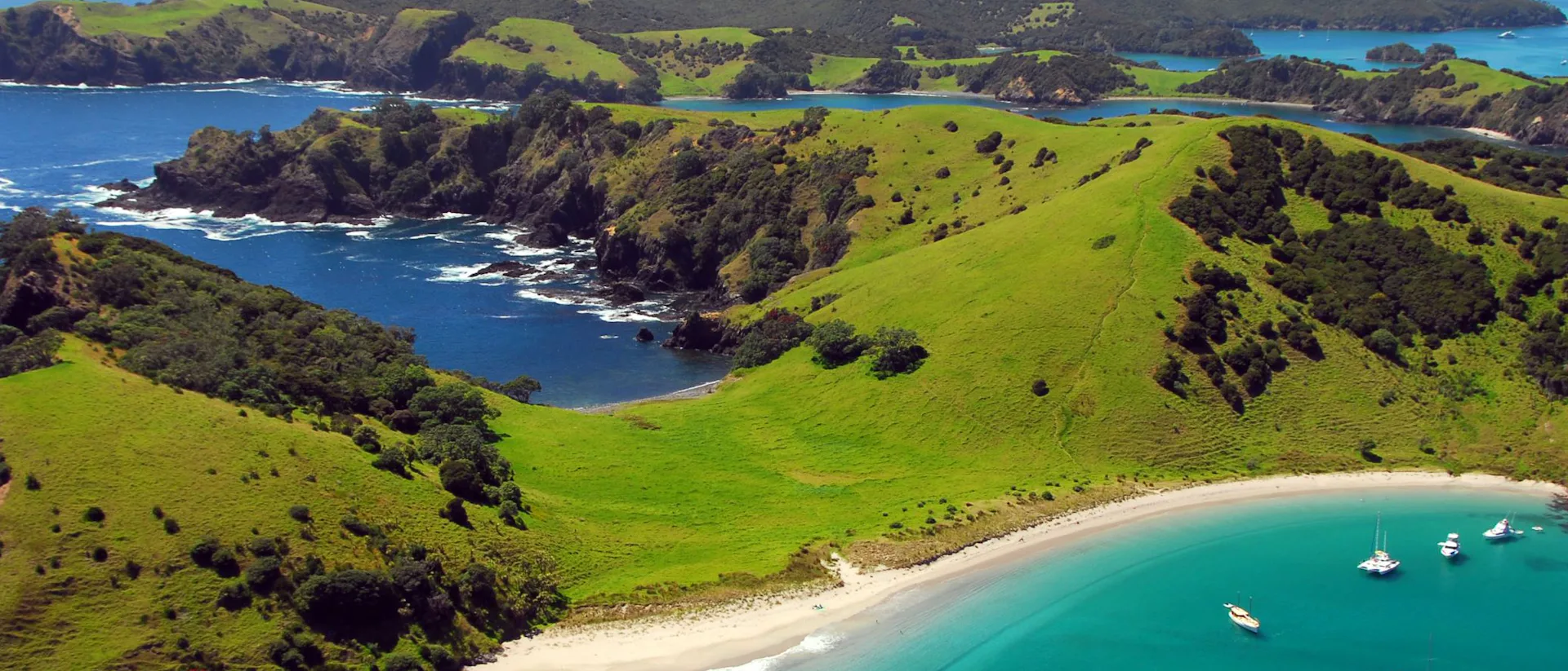 Bay of Islands Cruises