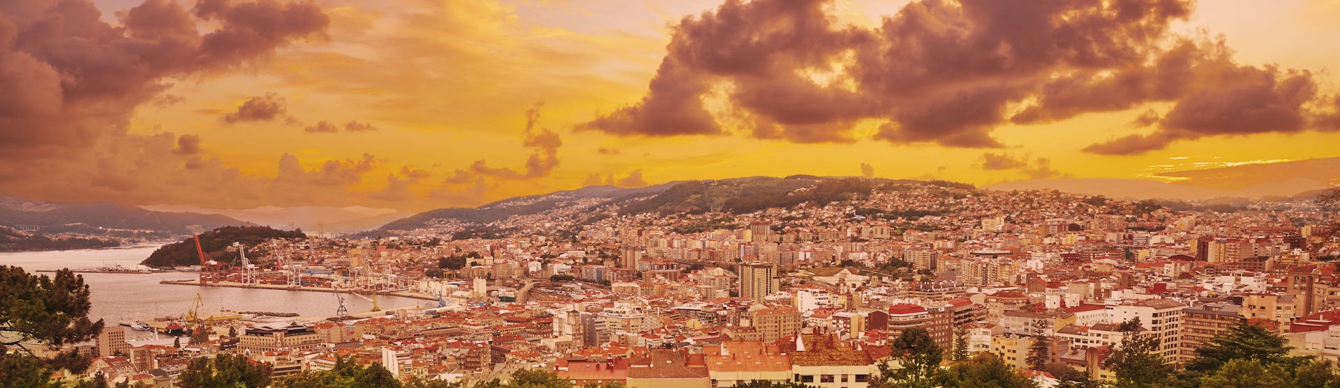 Vigo Cruises