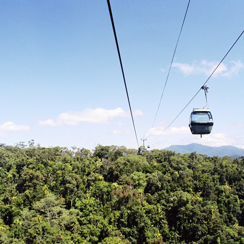 Skyrail Rainforest Cableway