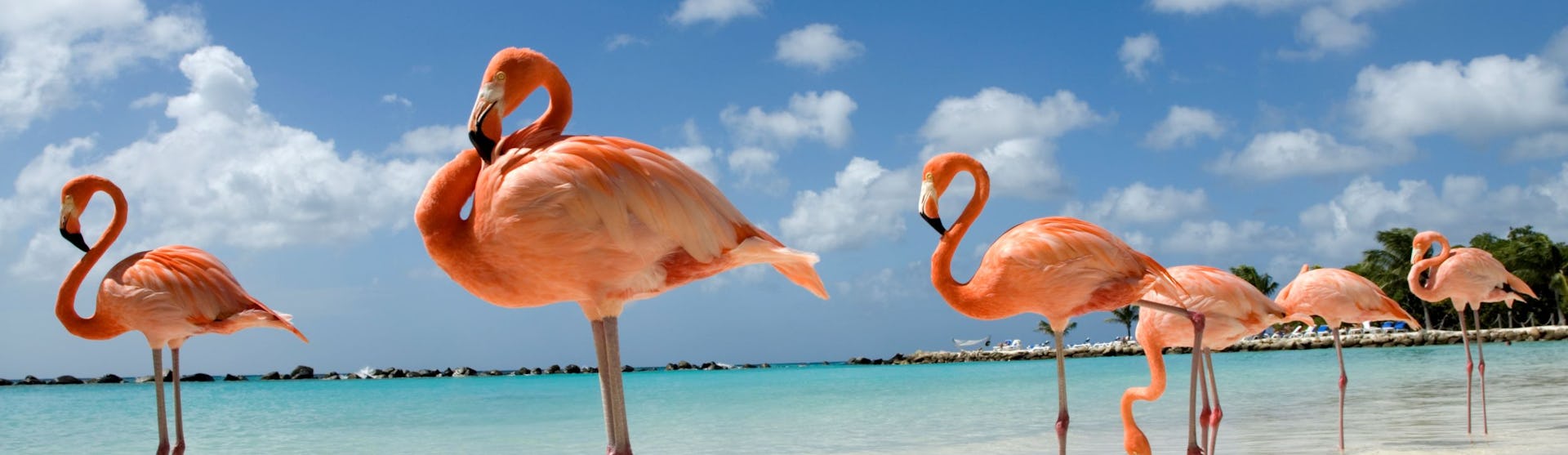 Aruba-Caribbean