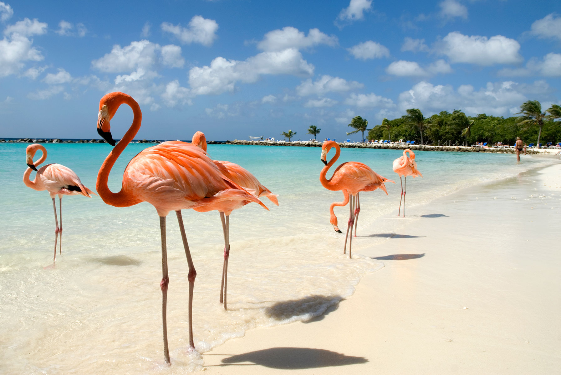 10. Southern Caribbean Charm with Miami Stay
