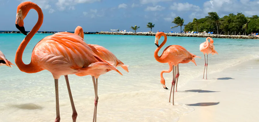 10. Southern Caribbean Charm with Miami Stay