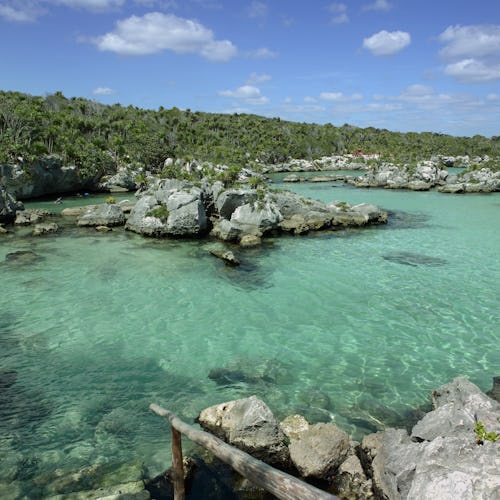 Xel-Ha Lagoon