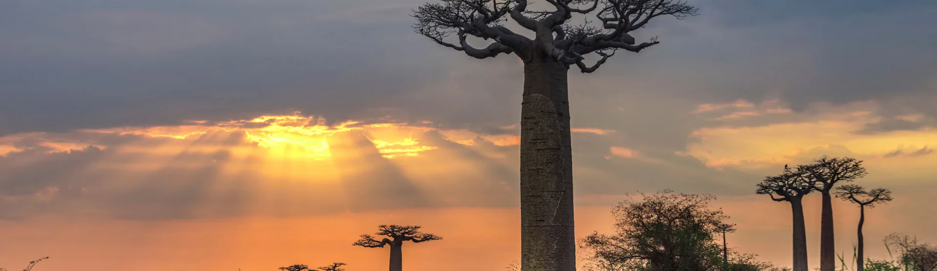 Madagascar, Africa