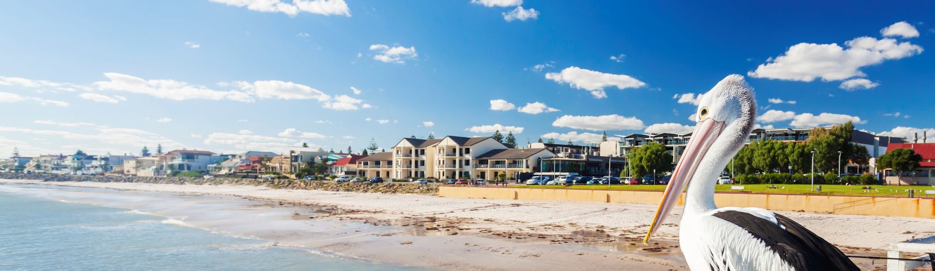 Adelaide Cruises