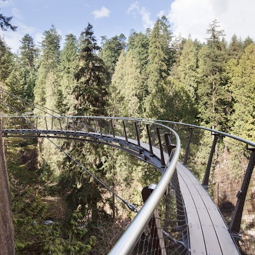 Capilano Suspension Bridge