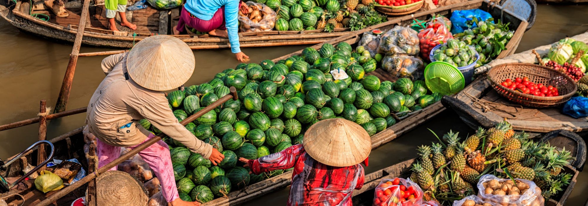 Vietnam Cruise Deals 2025 & 2025 Seascanner.co.uk