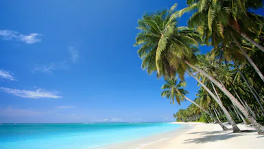 Caribbean New Year Escape