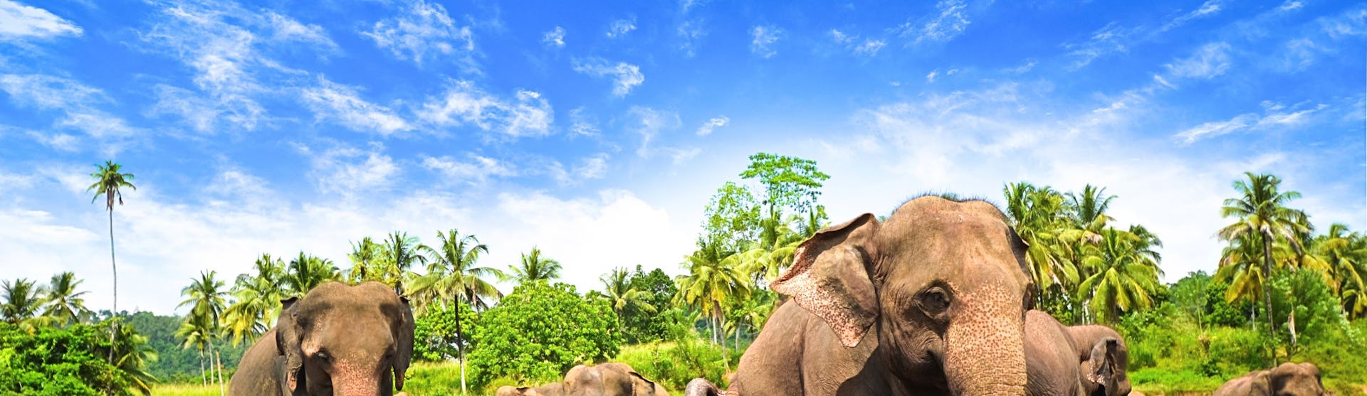 Sri-Lanka-Indian-Ocean