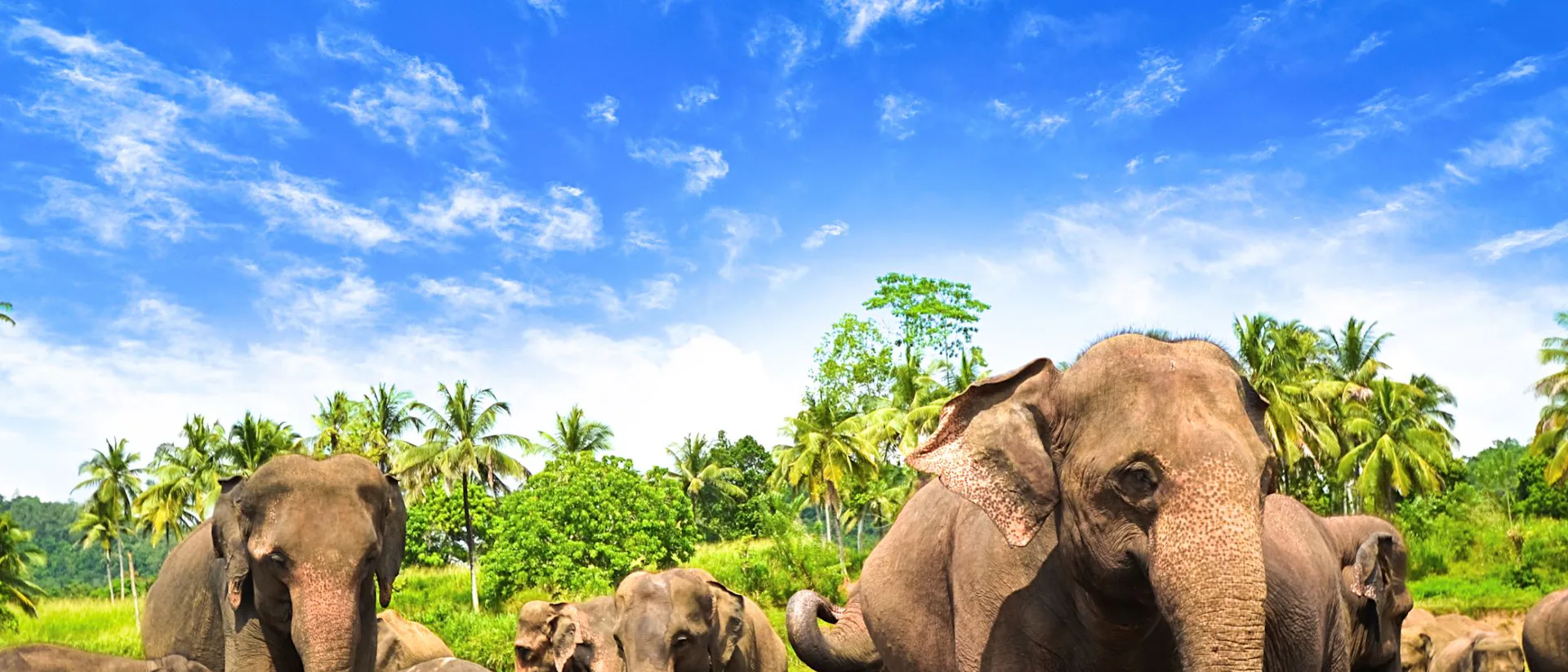 Sri-Lanka-Indian-Ocean