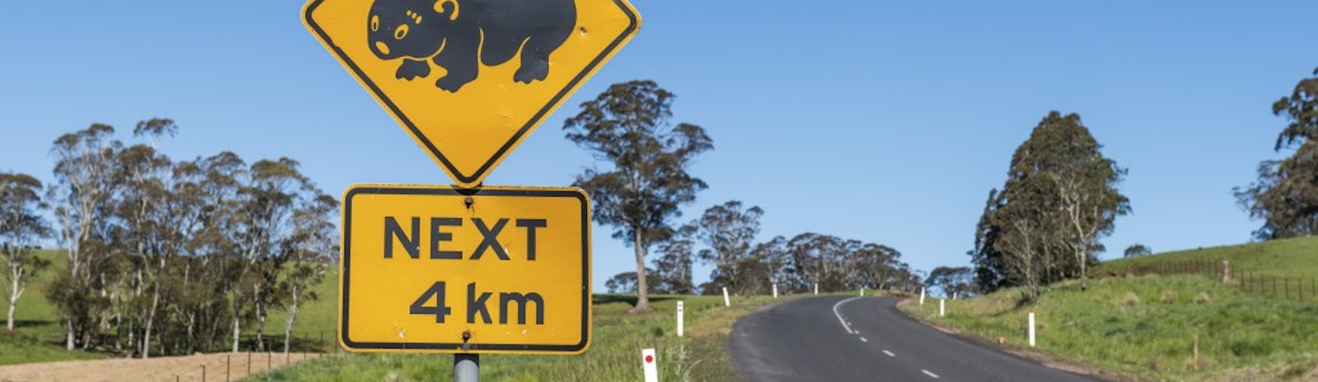 New Zealand-Australasia